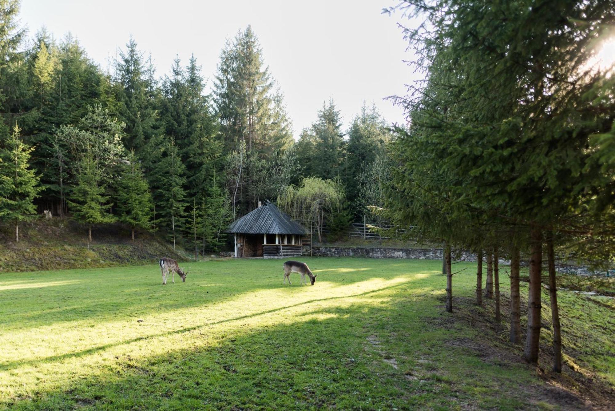 Pensiunea Casa Bunicilor มานาสทิรีอา ฮูโมรูลุย ภายนอก รูปภาพ